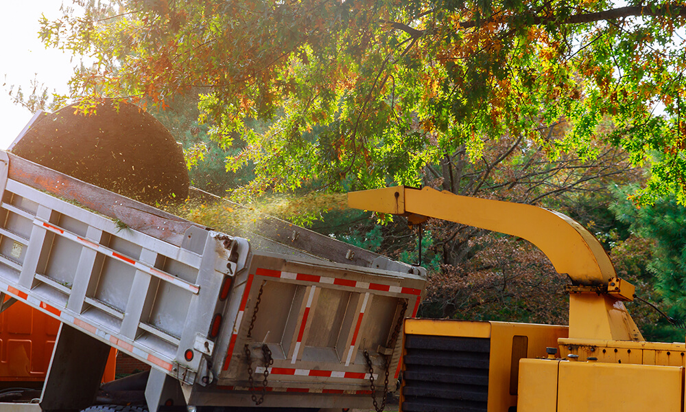 Wood Chipper